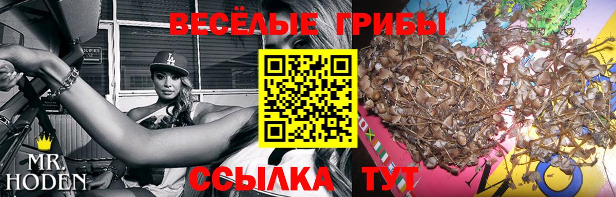 Галлюциногенные грибы Cubensis  Вход с VPN  Галлюциногенные грибы прущие грибы  Нижний Тагил 